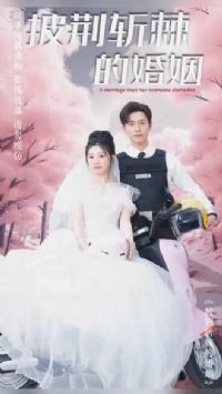 �£�����ն���Ļ���