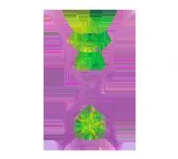 �������ޱ� �Ĵ�����vs����20250806