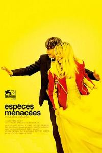 ��Σ����2017