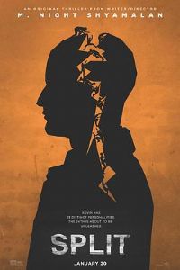 ���ѡ�Ӱ�ӽ�˵��