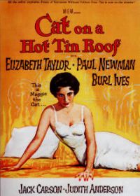 ����Ƥ�ݶ��ϵ�è