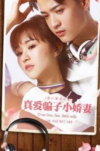 �氮ƭ��С����